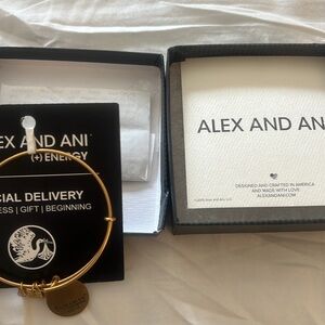 Alex and Ani “Special Delivery” Bracelet NEW WITH TAGS IN BOX